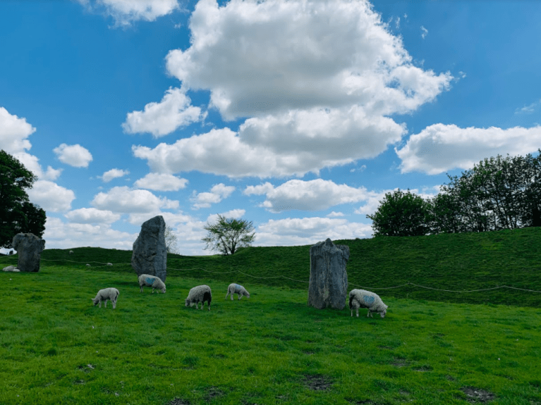 Avebury Tour