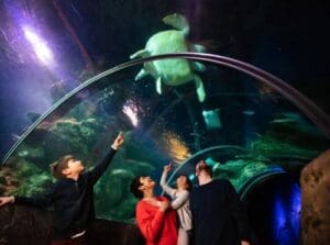 Sea Life London Tickets